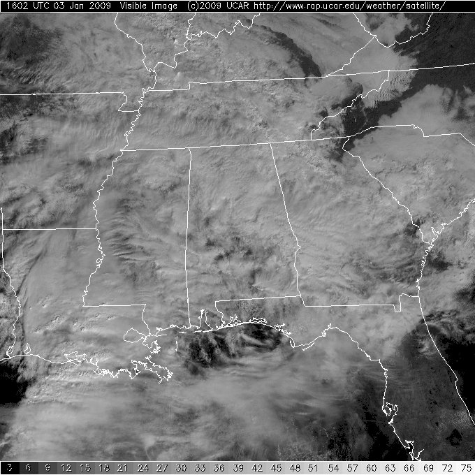 g1320090031602_mgm_vis Visible Satellite Image of Southeast US on January 3, 2009