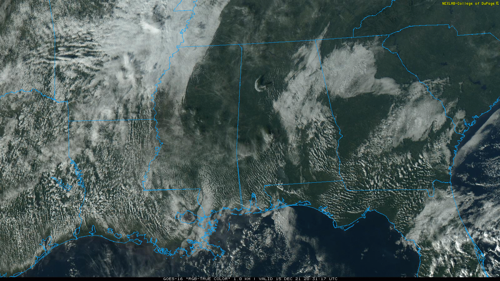 Dry And Very Mild Through Friday; Rain Returns Friday