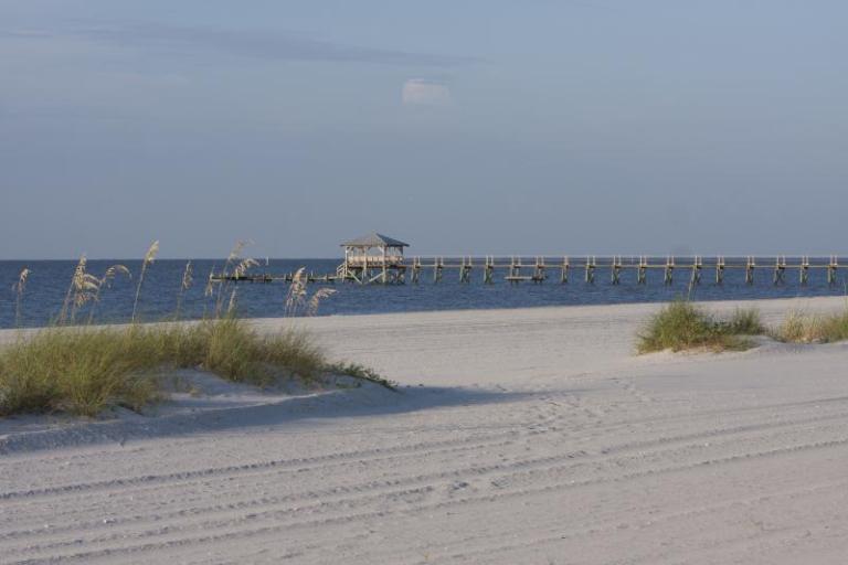 Alabama NewsCenter — NOAA, federal and state agencies continue Gulf restoration efforts 11 years after oil spill