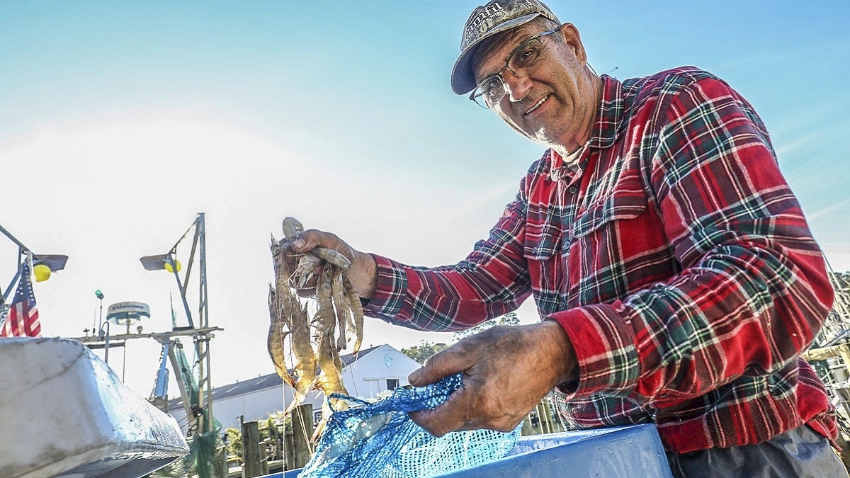 Alabama NewsCenter — Fairhope is an Alabama place of wonders, from sunsets to seafood to storybook castles