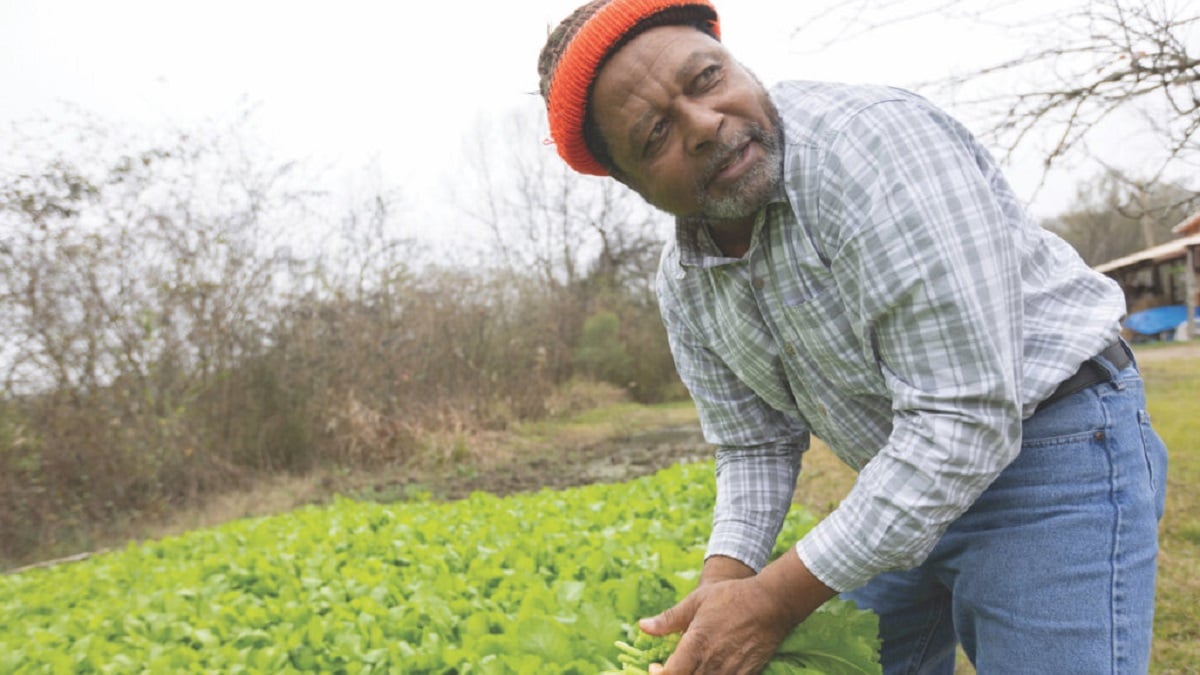 Alabama NewsCenter — Alabama Black Belt cattle farm embraces bird-watchers, ecotourism