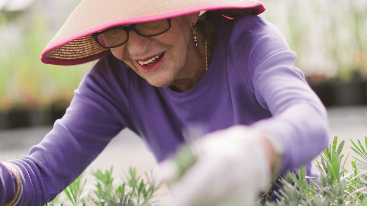 Alabama NewsCenter — Meet Birmingham Botanical Gardens’ ‘Lavender Lady’