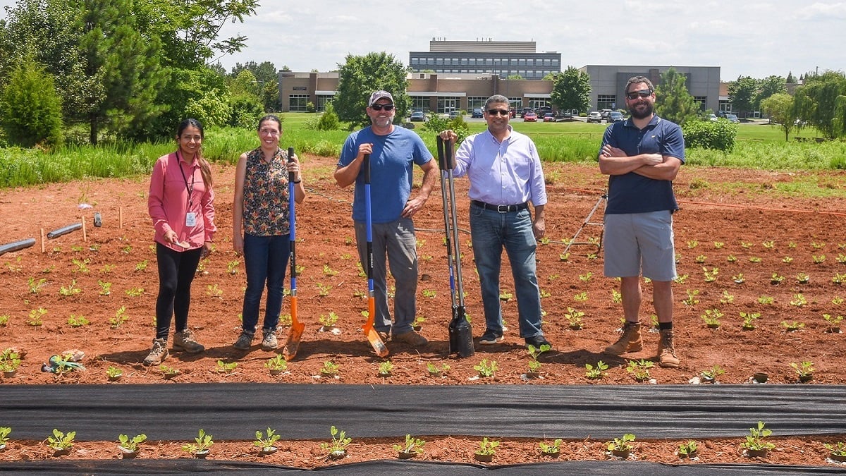 Alabama NewsCenter — Alabama researchers focus on peanut genome to improve harvests