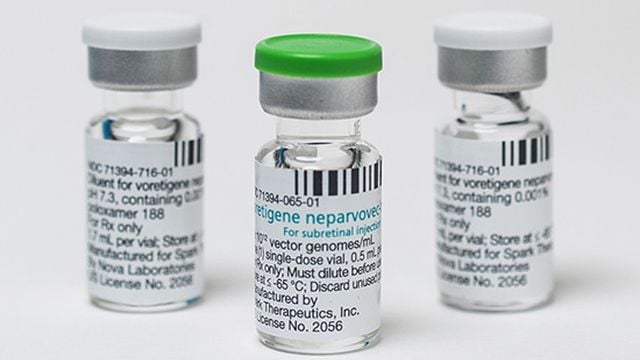Alabama NewsCenter — UAB Callahan Eye Hospital offering new gene therapy treatment for an inherited retinal disease