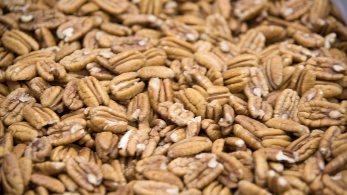 Alabama NewsCenter — Pecans: Cooks offer 8 tasty ways to celebrate Alabama’s official state nut