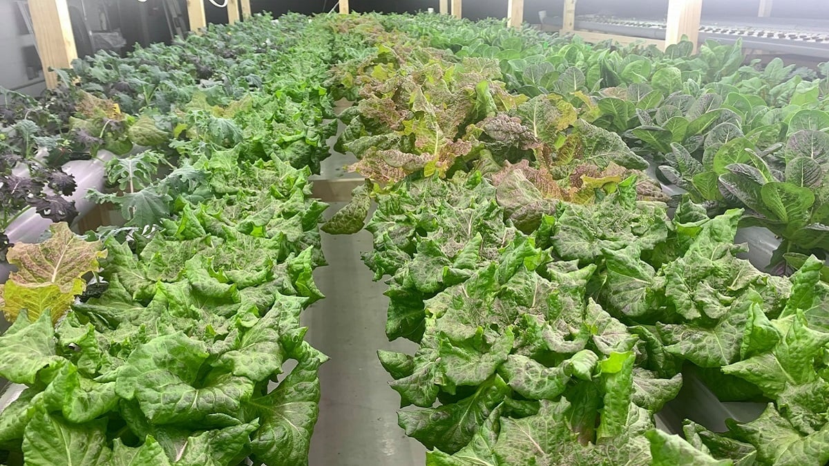 Alabama NewsCenter — Market Wagon provides new way for Alabama farmers to connect with customers