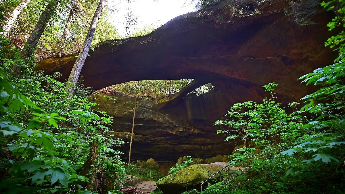 Alabama NewsCenter — Alabama’s Natural Bridge Park is a marvel