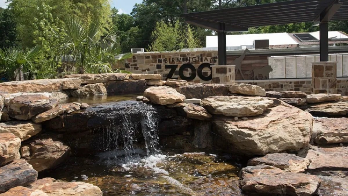 Alabama NewsCenter — Wild at Heart party will boost habitats, education at Birmingham Zoo