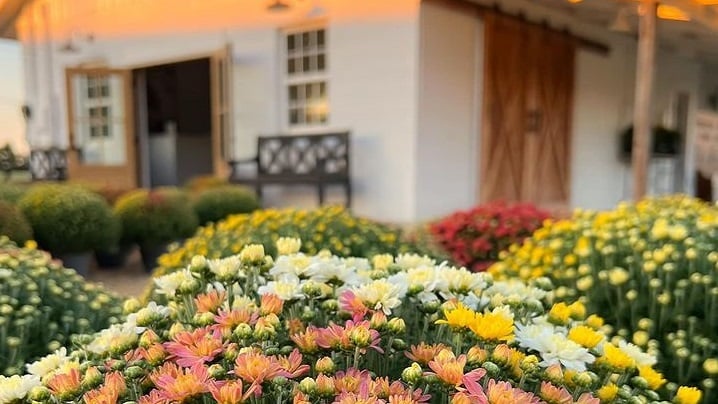 Alabama NewsCenter — Ranburne, Alabama, family turns dairy farm into plant nursery, café and community space
