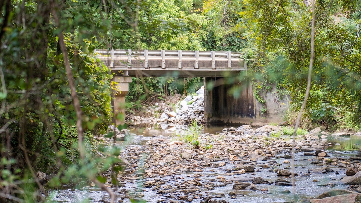 Alabama NewsCenter — Five Star grant supports water quality improvements, tree planting, more in Auburn, Alabama
