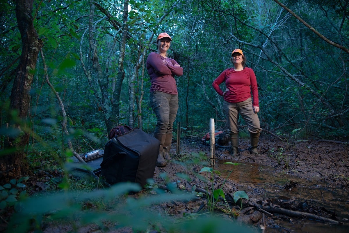 Alabama NewsCenter — University of Alabama focuses on small wetlands to boost resource management