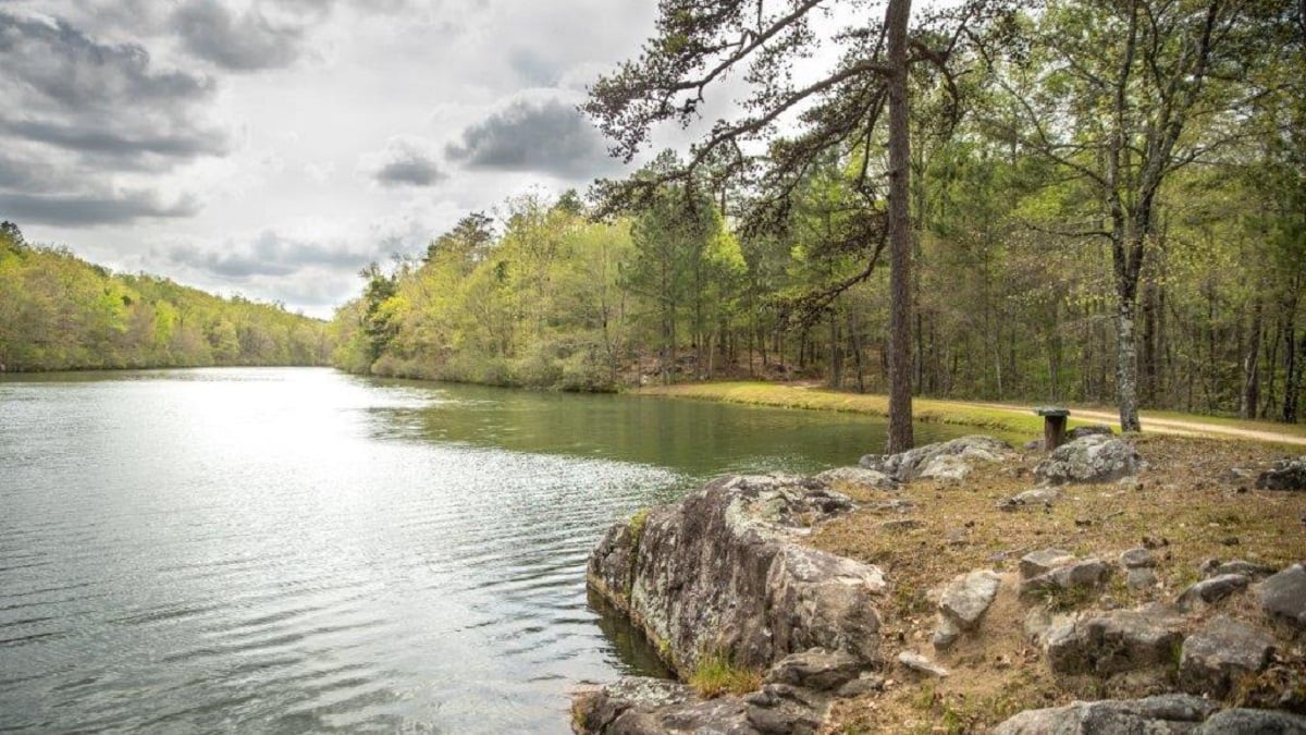 Alabama NewsCenter — Forever Wild celebrates 30 years of protecting Alabama’s natural resources