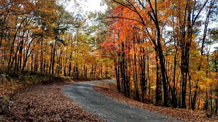 Alabama NewsCenter — Alabama’s 5 best scenic fall drives