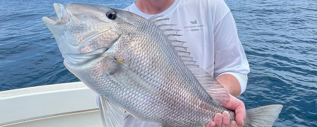 Alabama NewsCenter – Anglers break 11 size records for 9 fish in one year, Alabama Gulf Seafood announces
