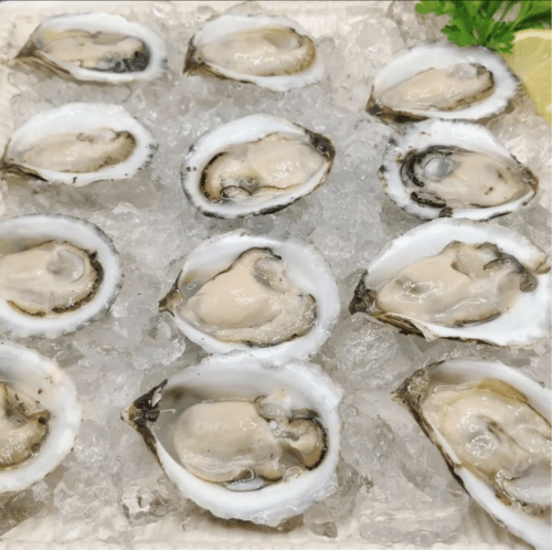 Alabama NewsCenter — Admiral Shellfish Company offers prime oysters grown in south Alabama