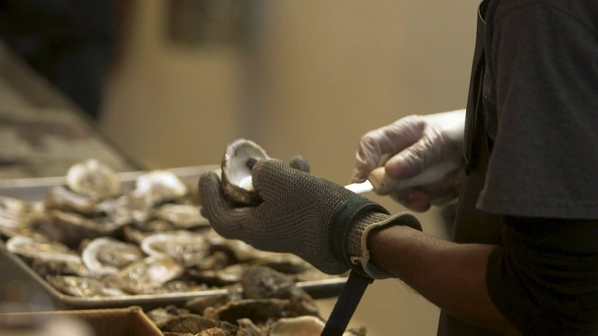 Alabama NewsCenter — Oysters are industry, ecology and good eats in Alabama