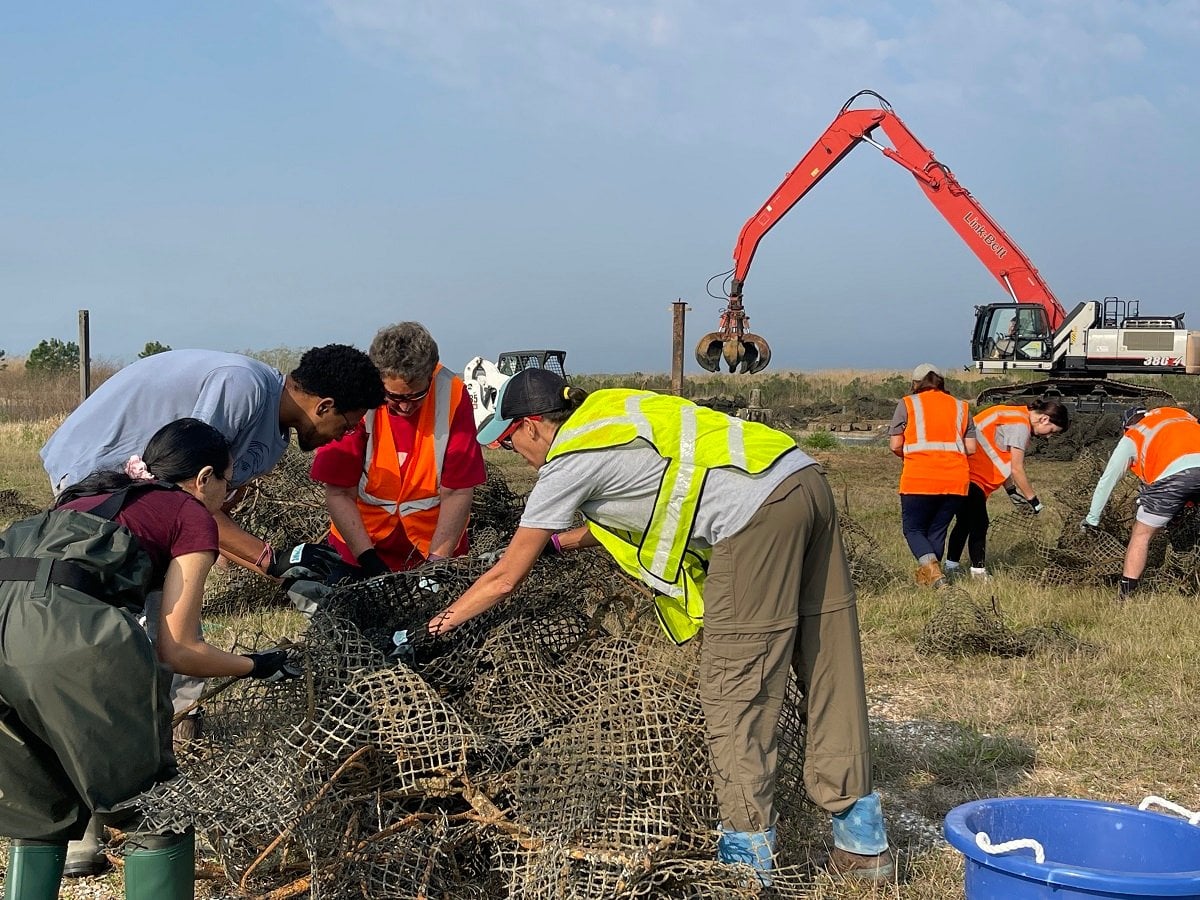 Alabama NewsCenter — Volunteers work together to salvage oyster reefs, support Mobile Bay’s marine ecosystem