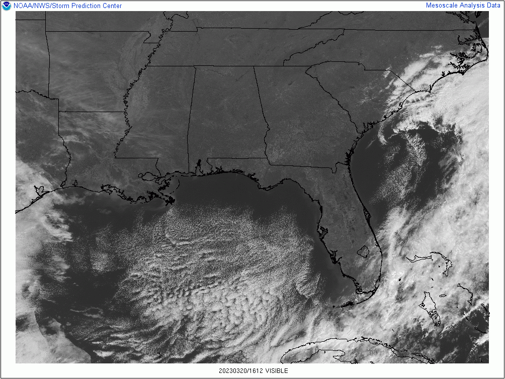The Midday Report — First Day of Spring & Still Feels Like Winter