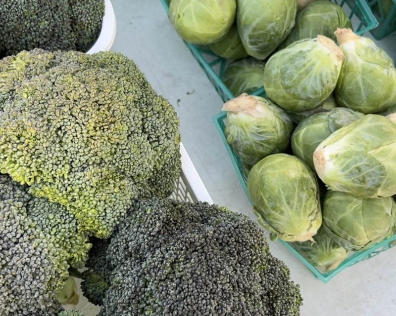 8 farmers markets to check out across Alabama
