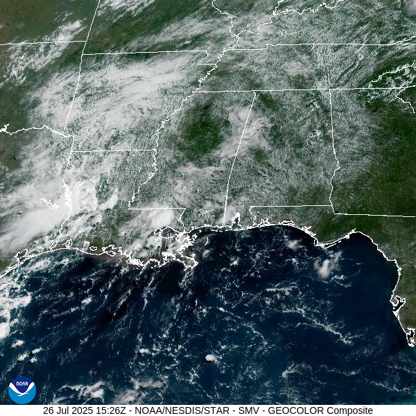 Late Morning Forecast Update